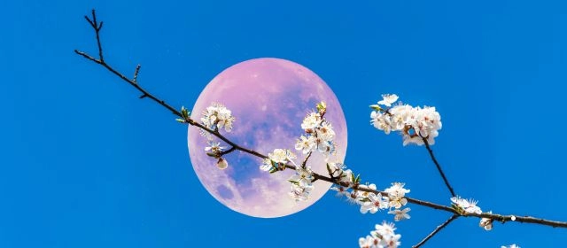 Calendário da Lua Cheia em 2026