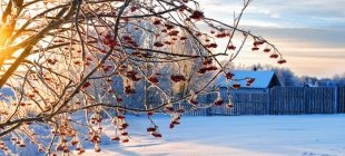 Horóscopo terceiro trimestre 2026